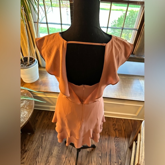 Express Ruffle Mini Dress - Picture 5 of 11